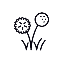 Planting Design Icon
